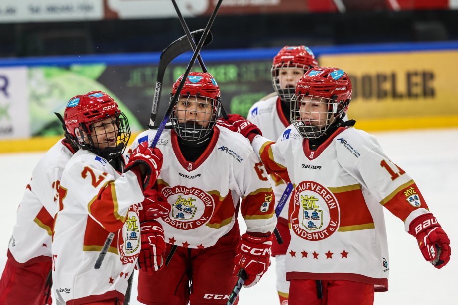 waermschutzwand_cup_sb_rosenheim_-_ev_landshut_--cfel0305.jpg